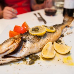 Shireen's Spotlight: Eat Greek