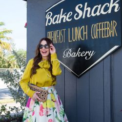 Shireen's Spotlight: Bake Shack