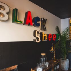 Shireen’s Spotlight: Black Sheep