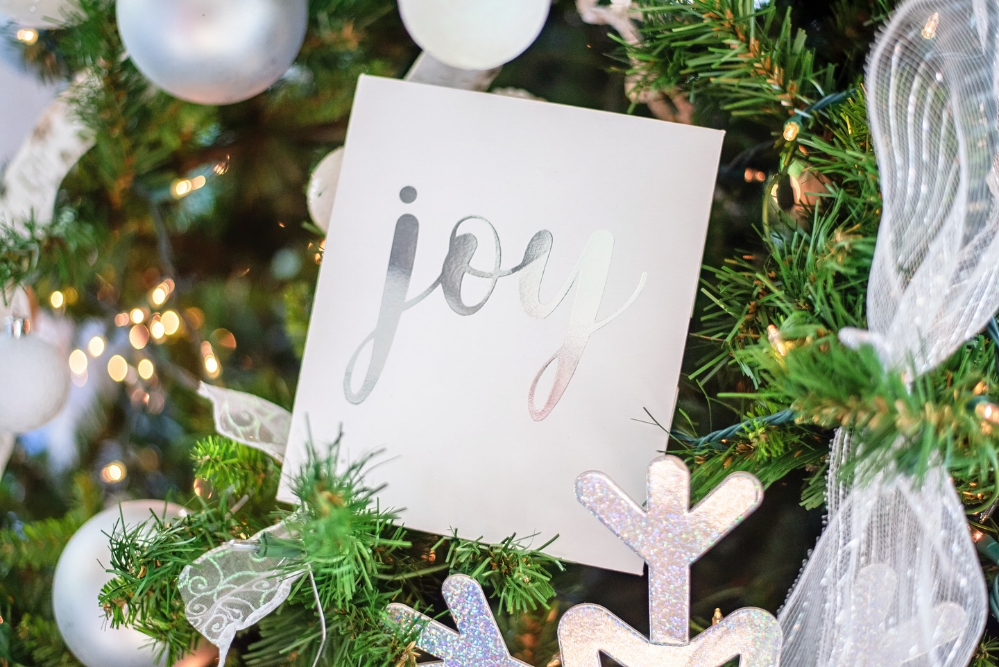 605375970_18540467860012703_5815671009594901055_n